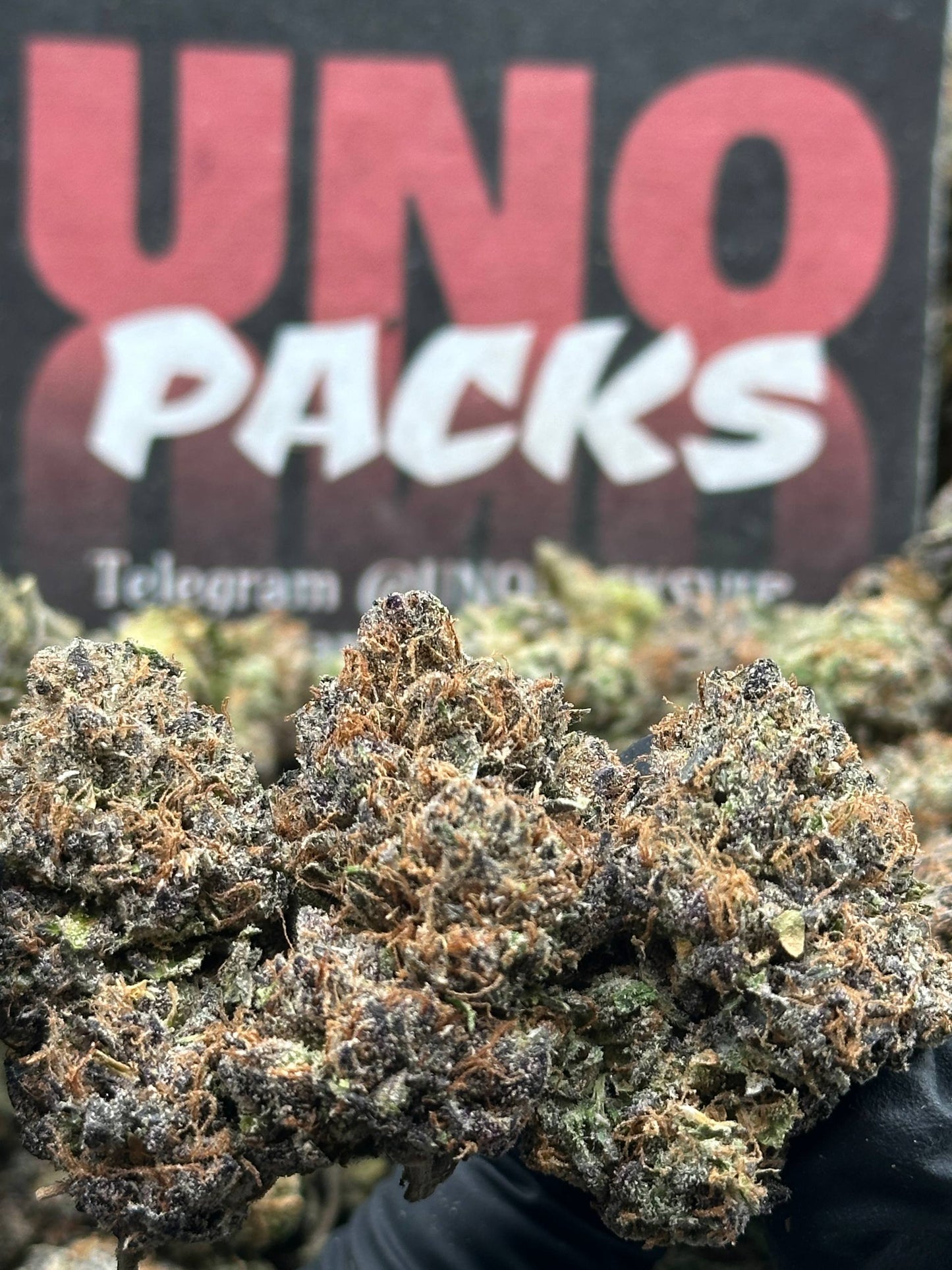 A046 - Cherry Mosaic (Indica)