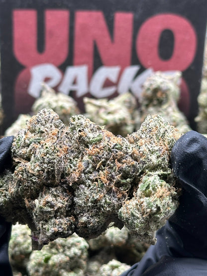 IN729 - Supreme Sherbet (Hybrid)