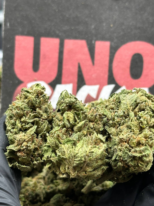 L001 - Pine Grove (Indica)