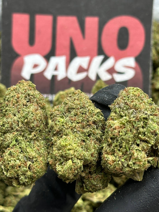 IP002 - Maple Orchard (Hybrid)
