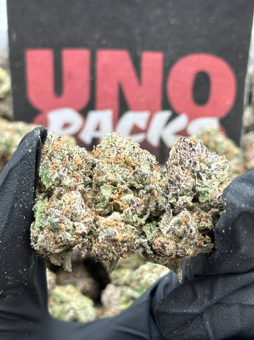 A001 - Velvet Sherbet (Hybrid)