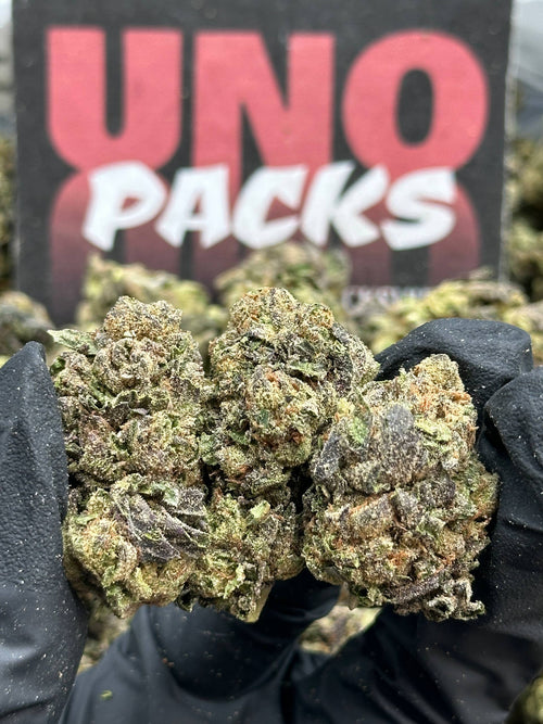 IP001 - Morning Timber (Sativa)