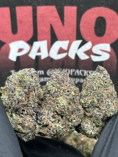 A008 - Sherbet Cake (Hybrid)