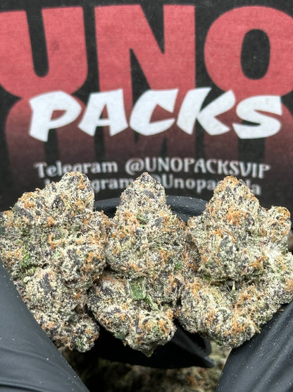 RAP734 - Strawberry Sherbet (Hybrid)