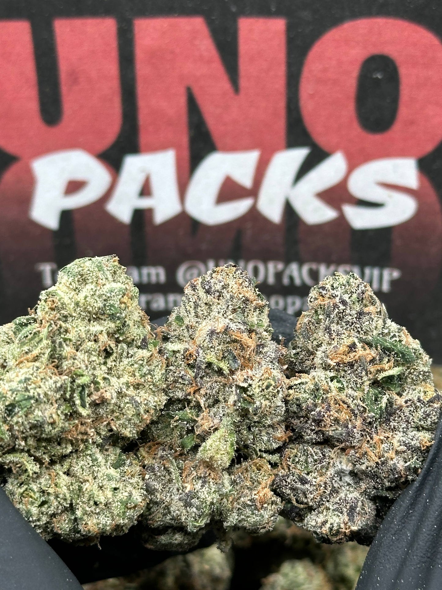 KI216 - Midnight Royale (Indica)