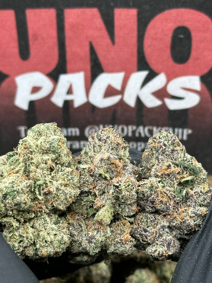 KI216 - Midnight Royale (Indica)