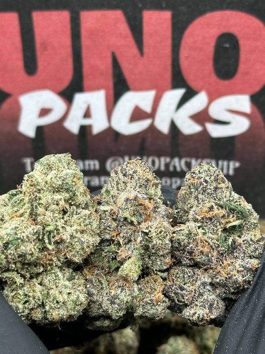 KI216 - Midnight Royale (Indica)