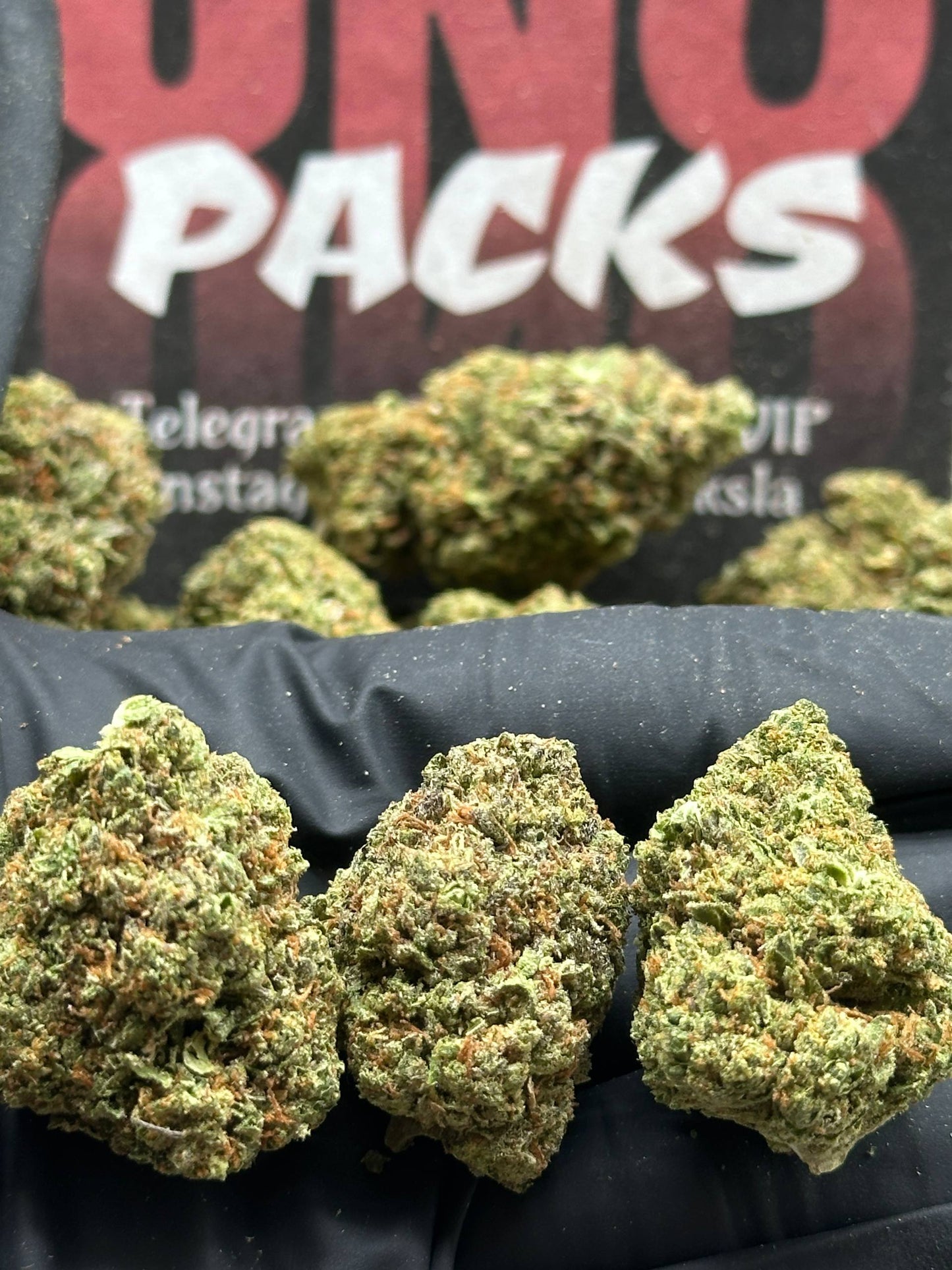 IP007 - Pine Alloy (Sativa)