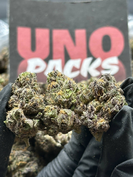 A004 - Royal Cream (Hybrid)