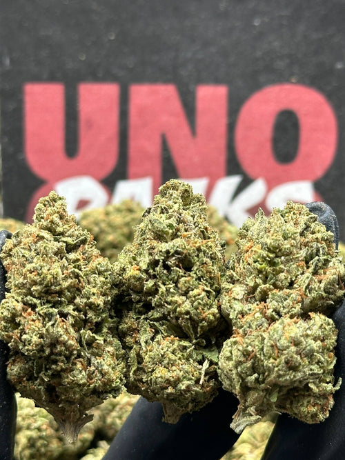 IP008 - Birch Grove (Sativa)