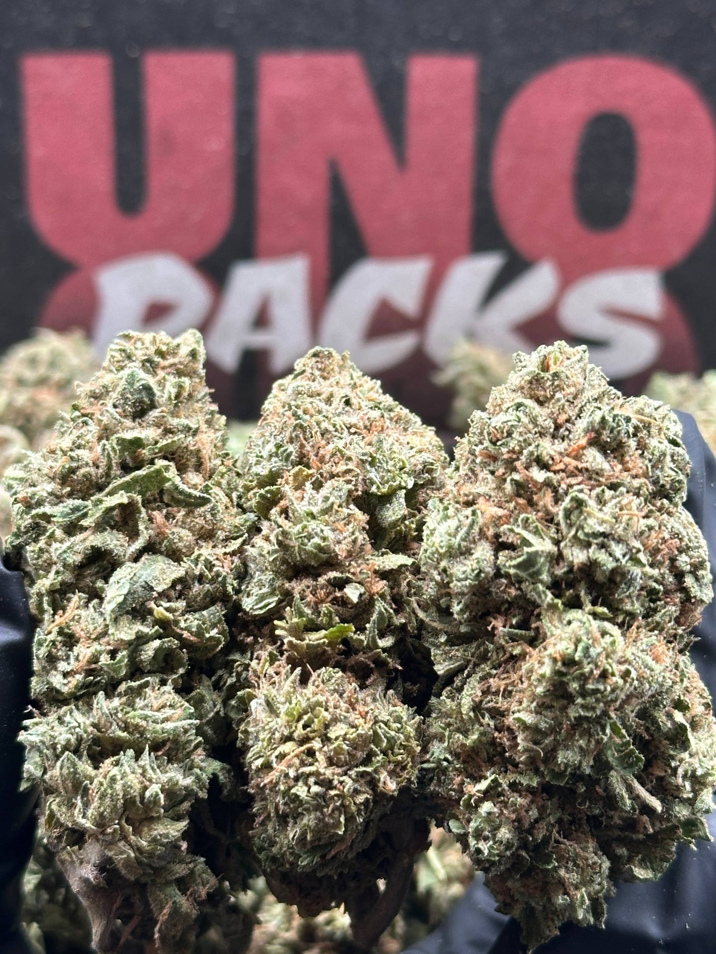 B017 - Prairie Field (Sativa)