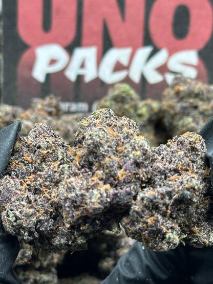A025 - Pink Gelato (Hybrid)
