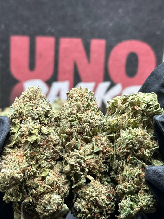 B020 - Cedar Market (Hybrid)