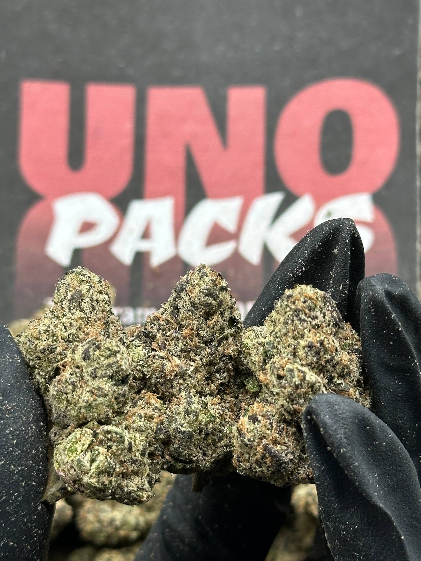CIN401 - Cherry Sherbet (Hybrid)