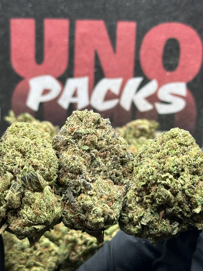 IP030- Maple Grove (Indica)