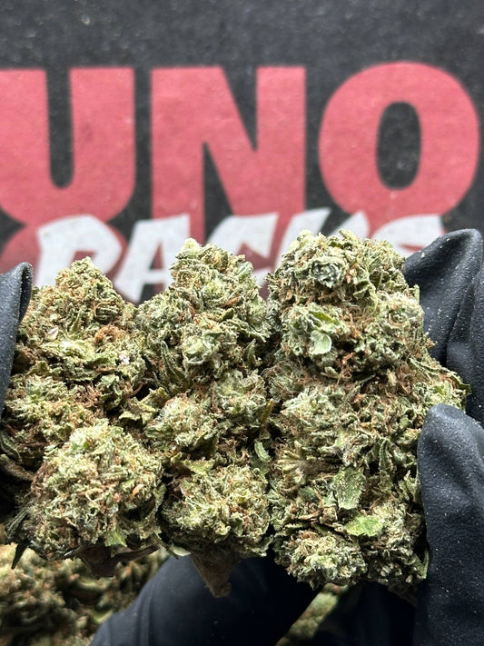 B023 - Cedar Trail (Hybrid)