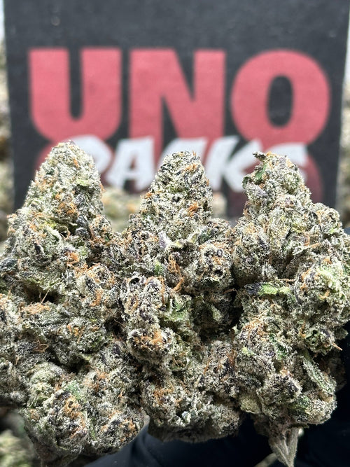 TD001 - Crown Cannoli (Hybrid)