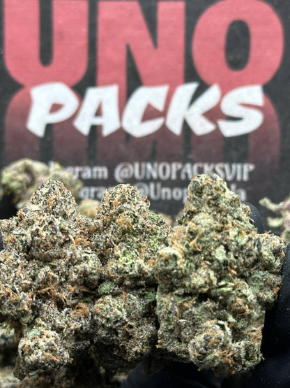 IN753 - Elite Macaron (Indica)