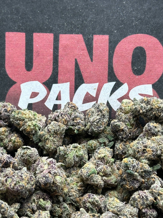 S032 -Golden Gelato SM (Hybrid)