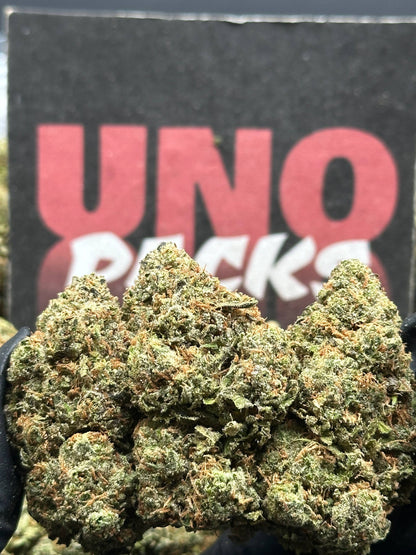IP035- Oak Fuel (Hybrid)