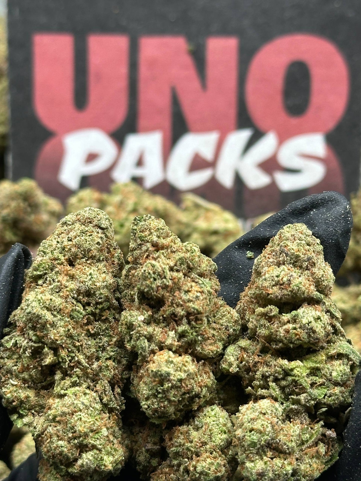 IP036- Juniper Market (Sativa)