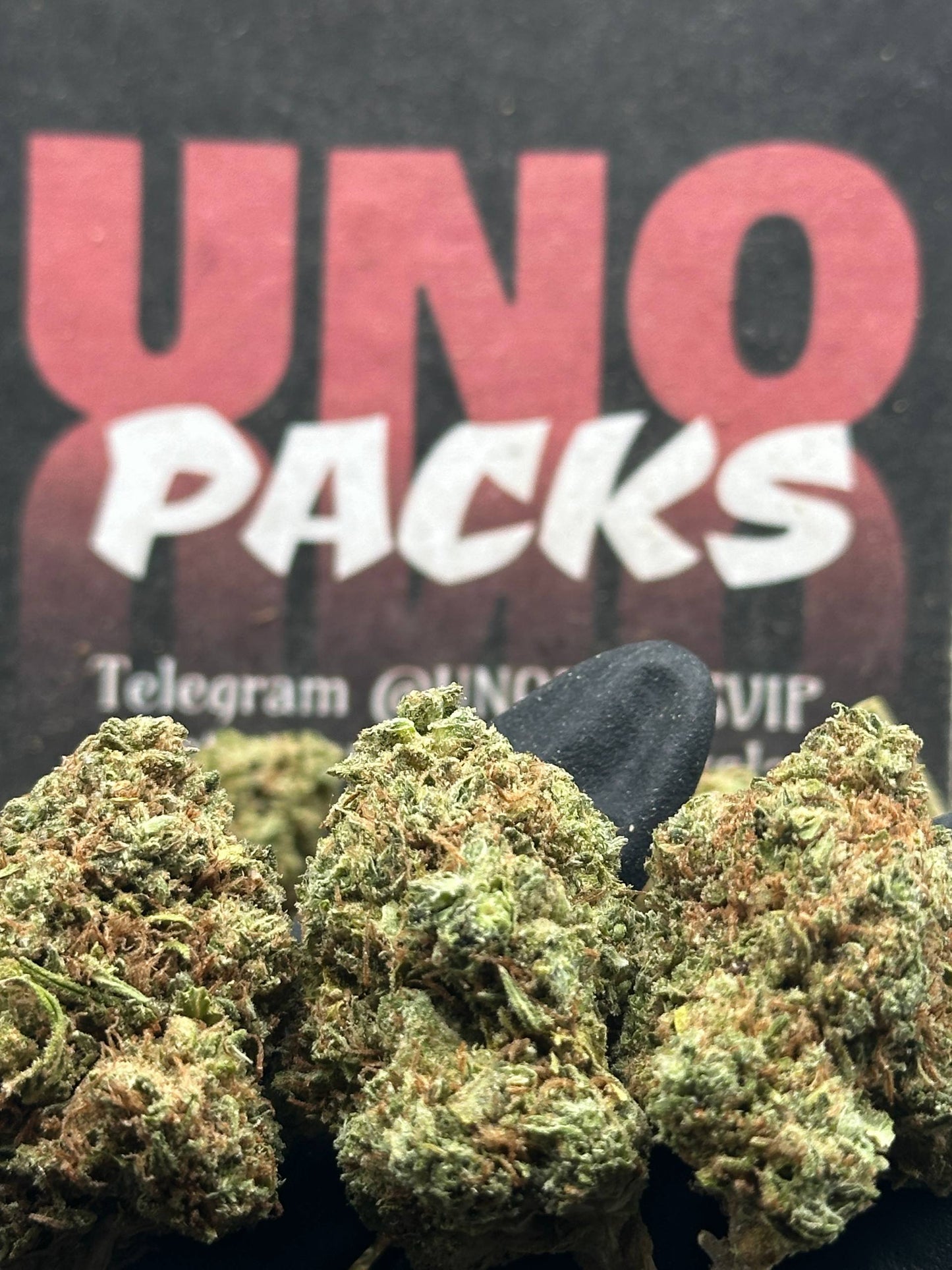 B038 -Forest Basin (Indica)
