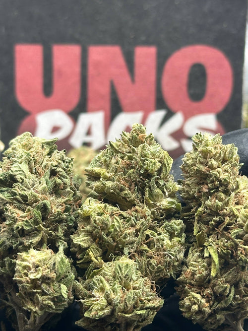 L009 - Forest Valley (Indica)