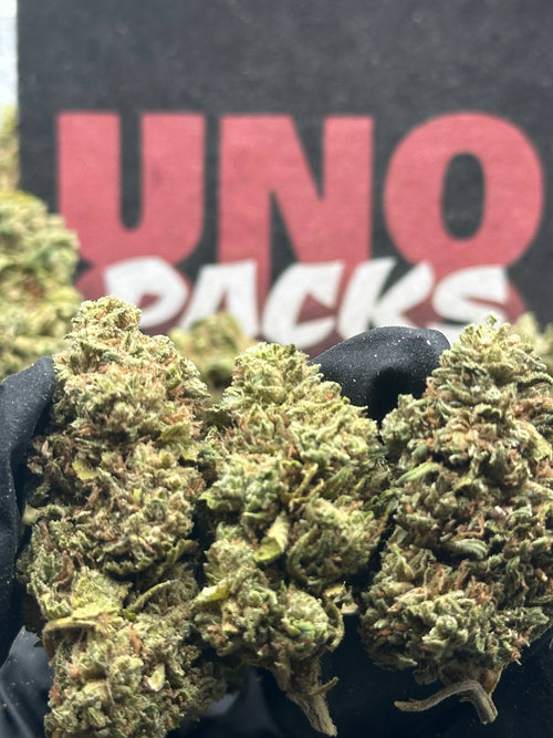 L010 - Alder Creek (Sativa)