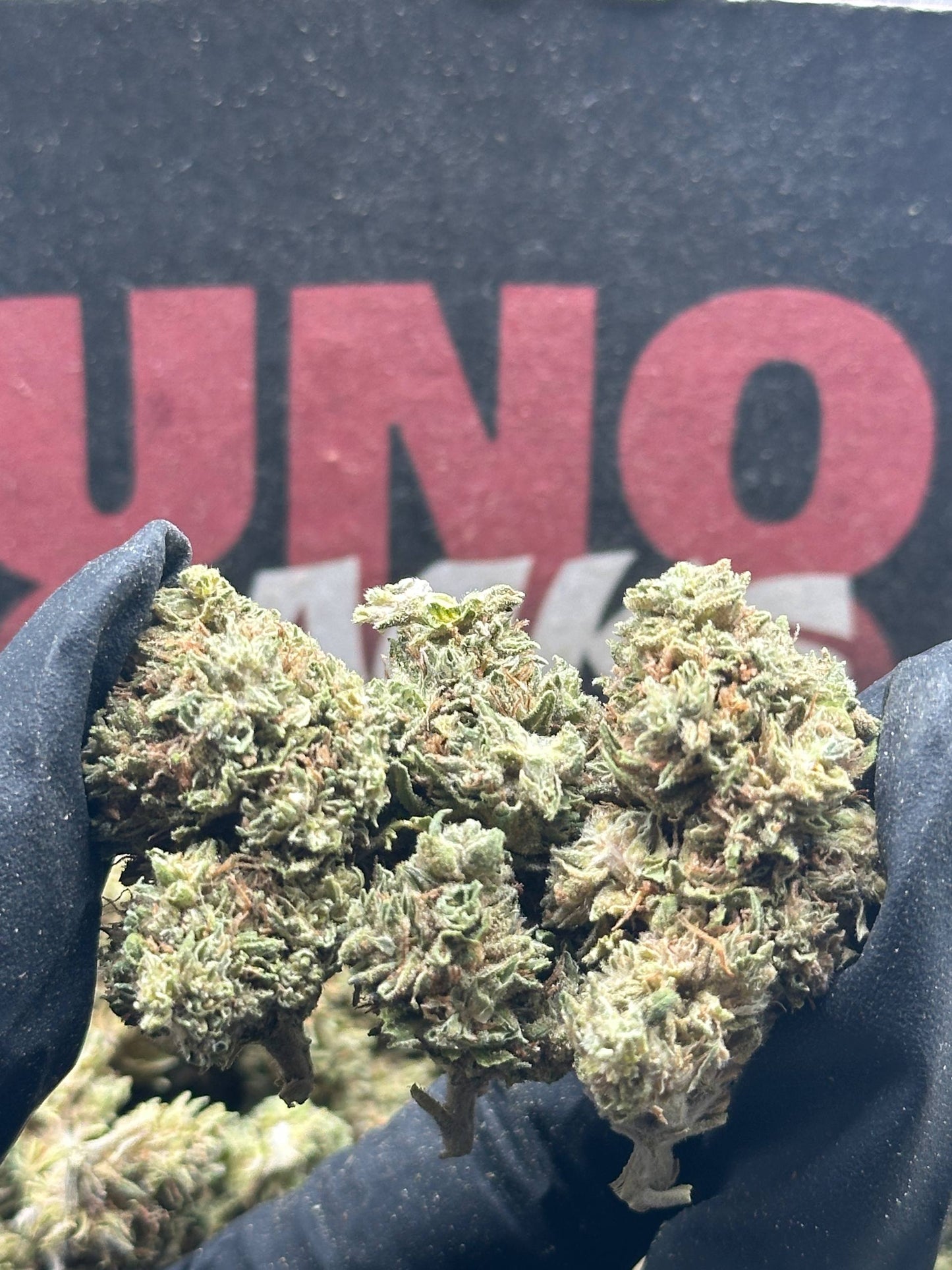 L011 - Cedar Crossing (Hybrid)