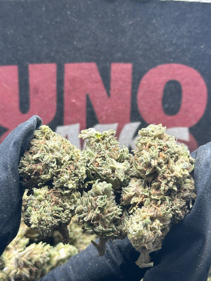 L011 - Cedar Crossing (Hybrid)