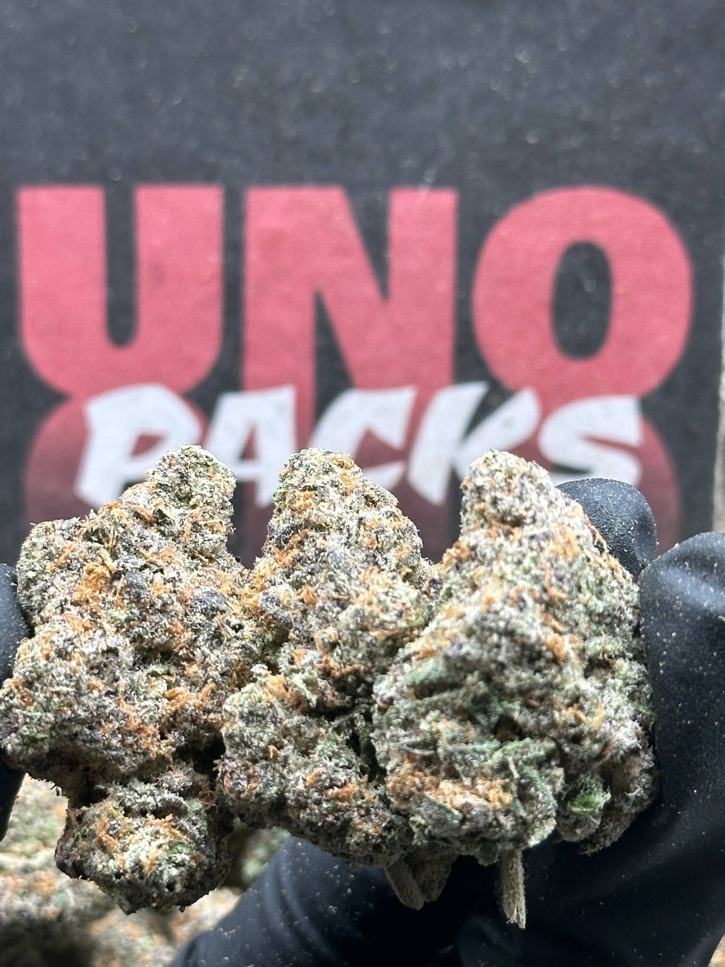 A055 - Velvet Parfait (Hybrid)