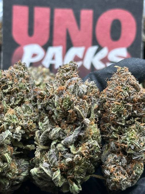 IP039- Candy Blossom (Hybrid)