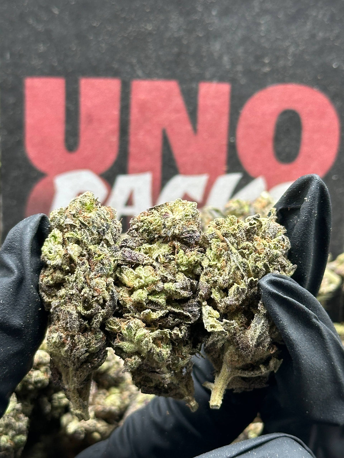 B048 -Briar Reserve (Indica)