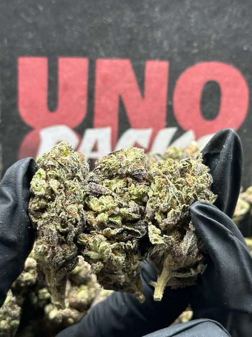 B048 -Briar Reserve (Indica)