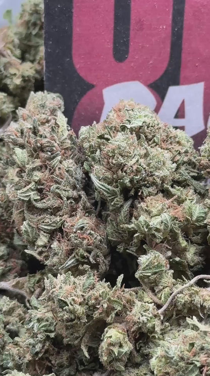 B017 - Prairie Field (Sativa)