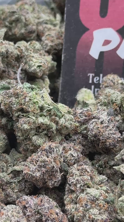 A001 - Velvet Sherbet (Hybrid)