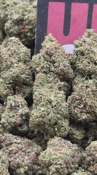 IP008 - Birch Grove (Sativa)