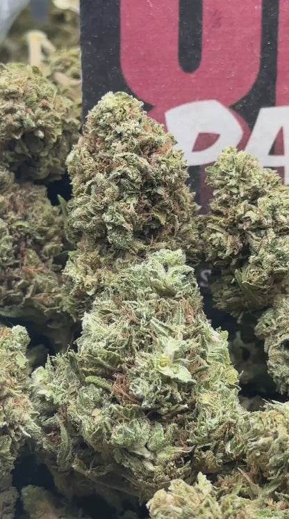 L010 - Alder Creek (Sativa)