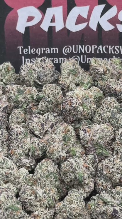 RM62 - Blue Razz Gelato SM (Hybrid)