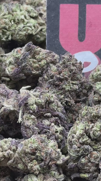 B048 -Briar Reserve (Indica)