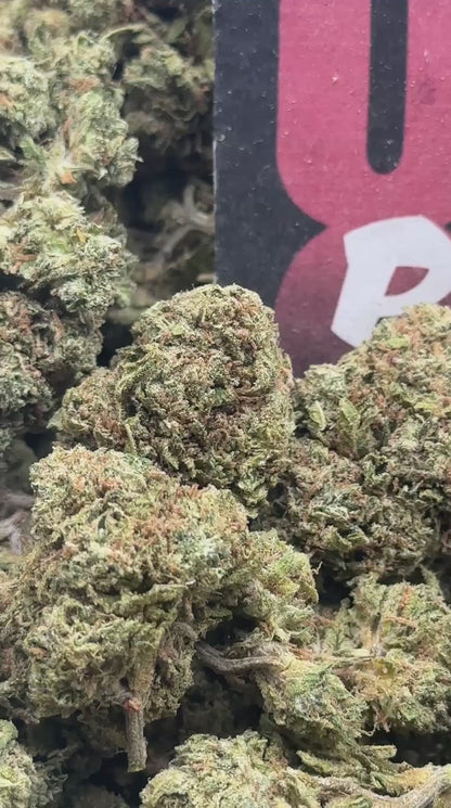 B036 -Birch Bluff (Indica)