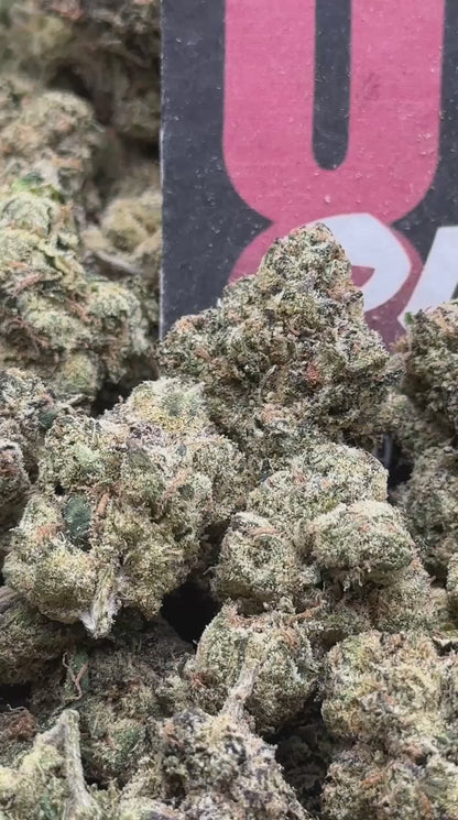 KI403 - Diamond Sorbet (Indica)