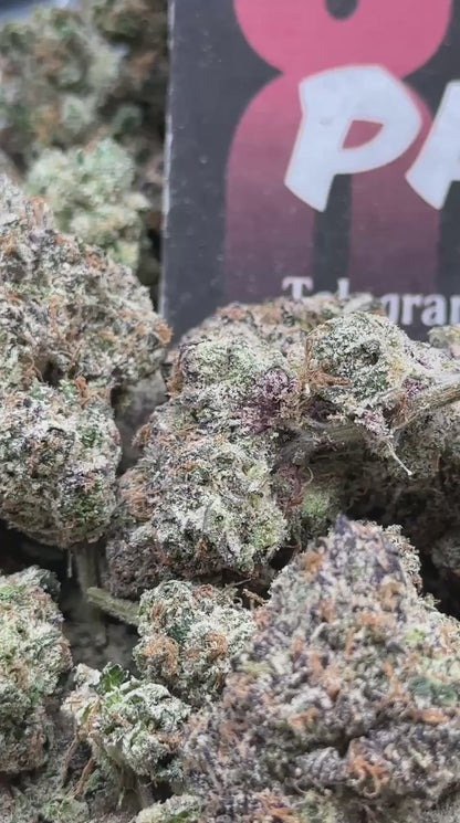 RAP742 - Diamond Biscotti (Hybrid)