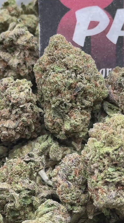IP032- Stone Timber (Indica)