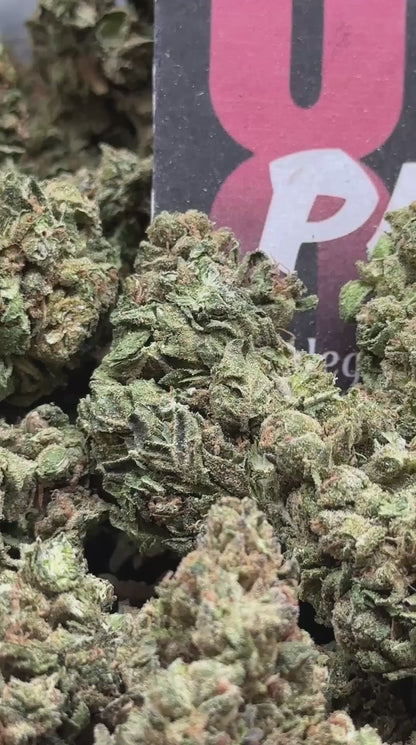 L003- Cedar Ridge (Indica)