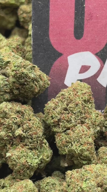 B046 - Highland Grove (Sativa)