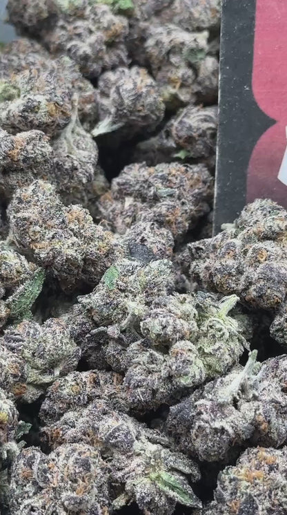 A023 - Citrus Royale (Hybrid)