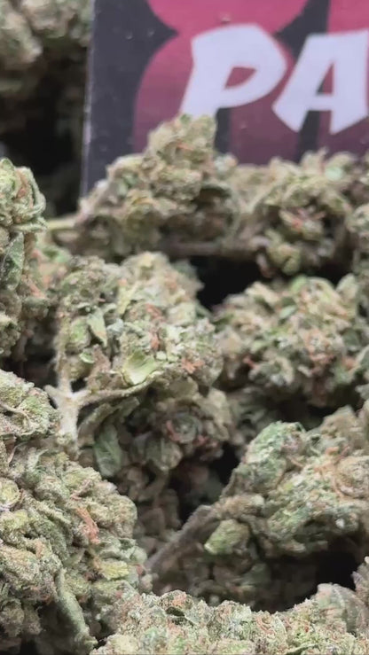 L001 - Pine Grove (Indica)