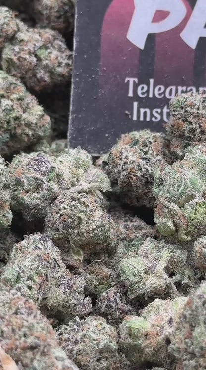 IN731 - Royal Runtz (Hybrid)