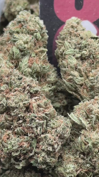 B019 - Granite Grove (Hybrid)